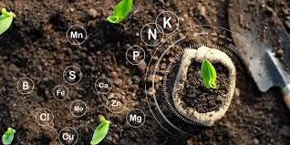 Organic Fertilizer Production Line: Sustainable Technology & Government Policies